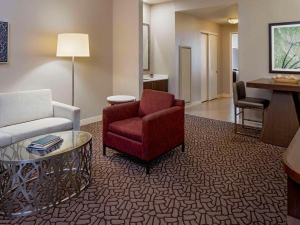 Hilton Garden Inn Downtown Dallas : photo 5 de la chambre one-bedroom king suite with sofa bed and wet bar