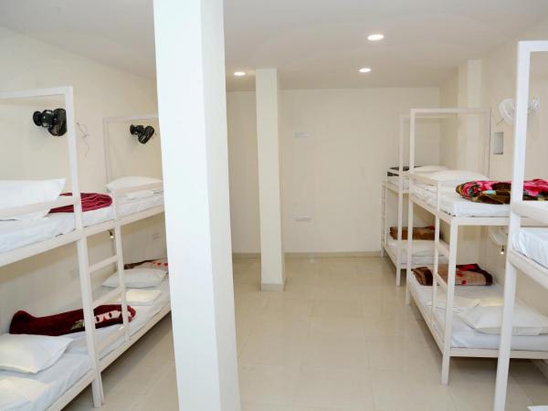 Charlie's Hostel By Purple India : photo 4 de la chambre lit simple dans dortoir à 6 lits
