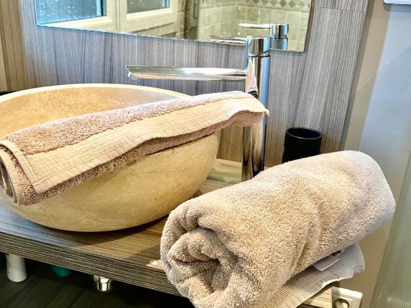 Dépendance de 40m2 avec piscine à Arles : photo 10 de la chambre chambre double - vue sur piscine