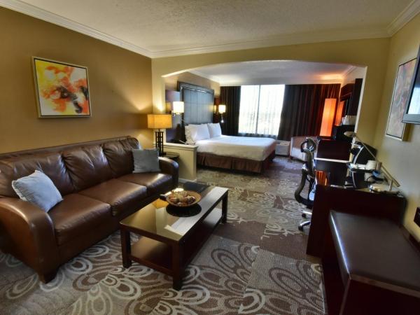 Holiday Inn Orlando East-UCF Area, an IHG Hotel : photo 5 de la chambre chambre lit king-size avec canapé-lit