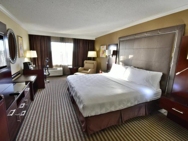 Holiday Inn Orlando East-UCF Area, an IHG Hotel : photo 5 de la chambre chambre lit king-size