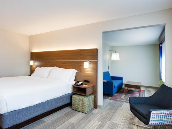 Holiday Inn Express Hotel & Suites Tampa-Fairgrounds-Casino, an IHG Hotel : photo 5 de la chambre suite lit king-size – non-fumeurs
