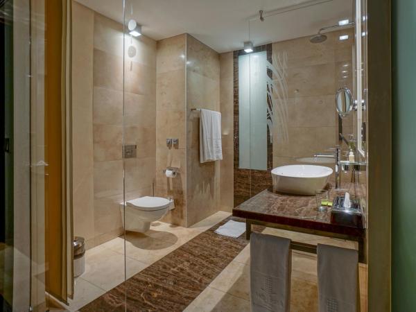 Andersia Hotel & Spa Poznan, a member of Radisson Individuals : photo 5 de la chambre chambre supérieure