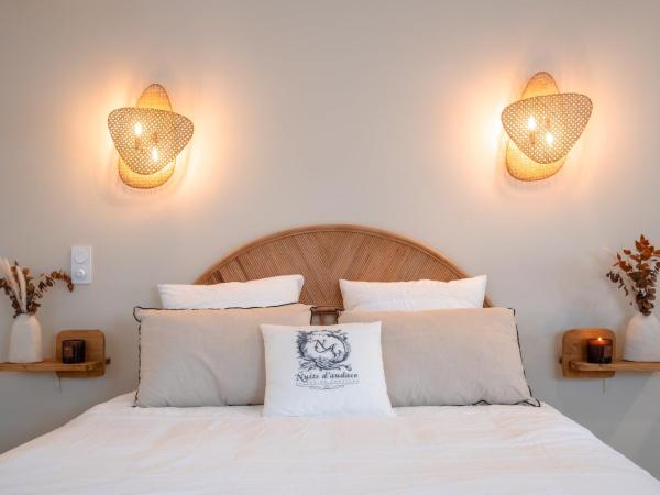 Nuits d'Audace : photo 2 de la chambre studio avec baignoire spa