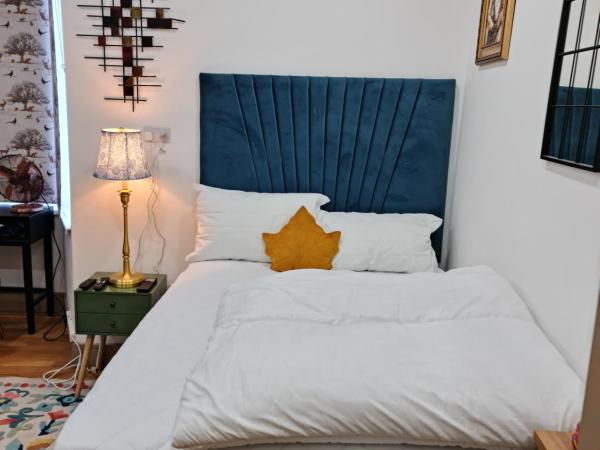 SureBillionaire Homes II : photo 6 de la chambre studio supérieur