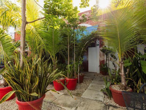 Che Nomadas Mérida Hostel Adults Only : photo 7 de la chambre lit dans dortoir mixte de 4 lits