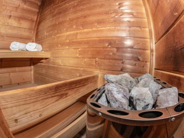 Petneházy Aparthotel : photo 2 de la chambre chalet 1 chambre avec sauna
