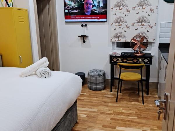 SureBillionaire Homes II : photo 6 de la chambre studio standard