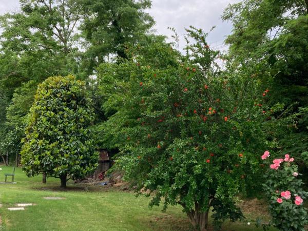 Maison Country B&B : photo 1 de la chambre chambre double