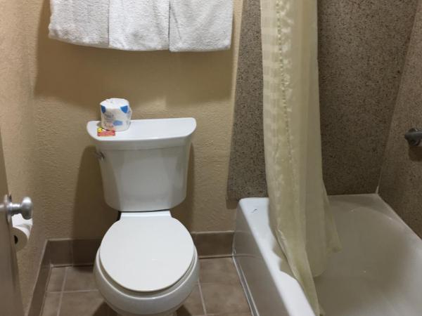 Americas Best Value Inn-Near NRG Park/Medical Center : photo 3 de la chambre chambre lit king-size - fumeurs