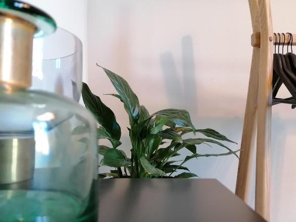 Good Morning Bologna : photo 7 de la chambre appartement - annexe