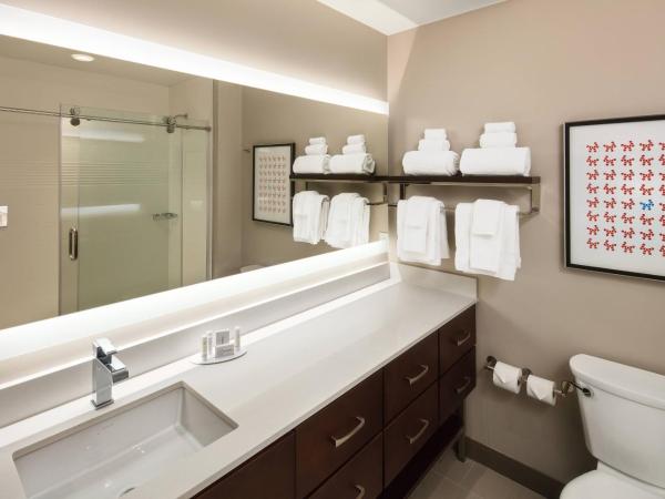 TownePlace Suites by Marriott New Orleans Downtown/Canal Street : photo 4 de la chambre studio lit king-size
