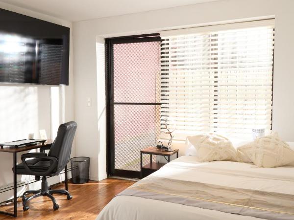 American Dream Guest House : photo 3 de la chambre chambre double avec terrasse