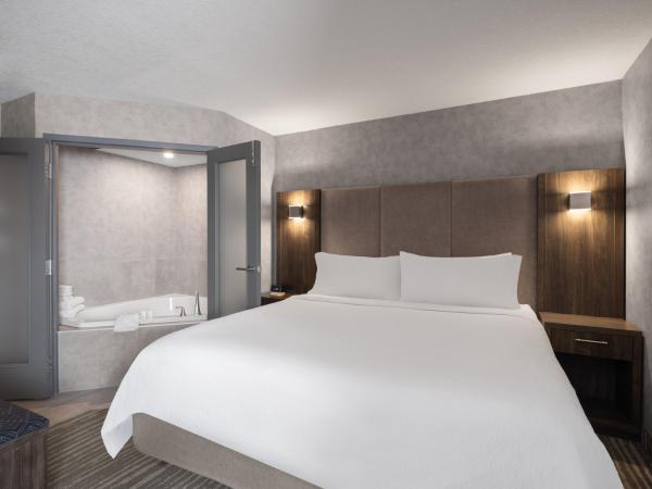 Holiday Inn Calgary Airport, an IHG Hotel : photo 2 de la chambre suite lit king-size avec jacuzzi