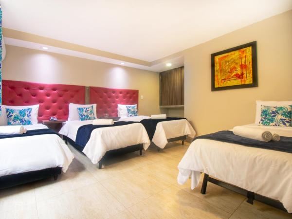 Hotel Barra da Lagoa by Latitud Hoteles : photo 5 de la chambre chambre quadruple
