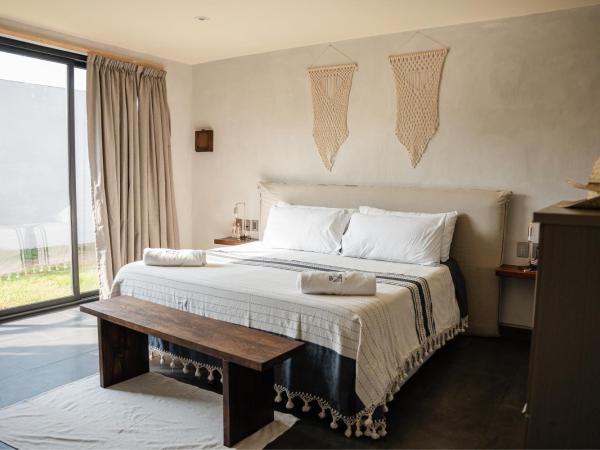 Bora Boutique - Adults Only : photo 3 de la chambre suite avec terrasse 