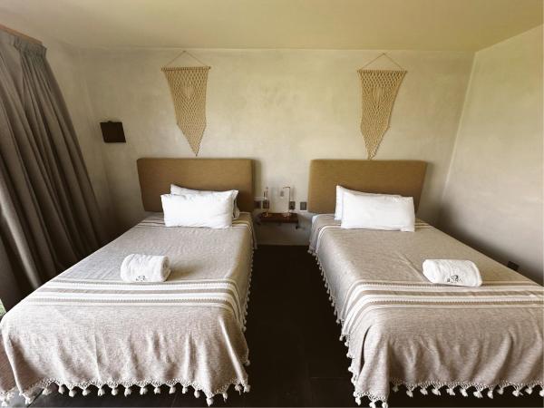 Bora Boutique - Adults Only : photo 3 de la chambre chambre lits jumeaux avec terrasse