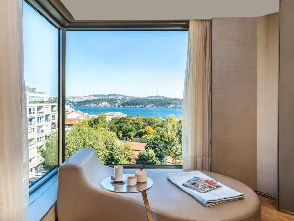 Swissotel The Bosphorus Istanbul : photo 4 de la chambre hébergement 2 chambres residence - vue sur bosphore