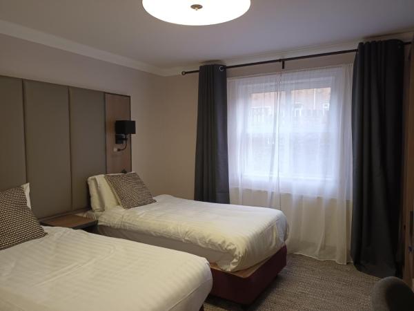 Corn Mill Lodge Hotel : photo 1 de la chambre chambre lits jumeaux avec douche 