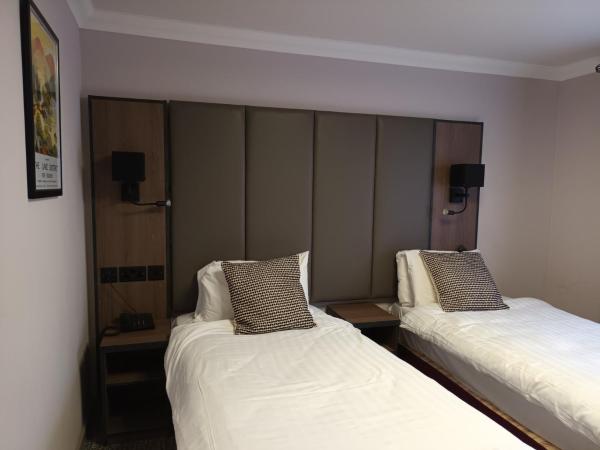 Corn Mill Lodge Hotel : photo 3 de la chambre chambre lits jumeaux avec douche 