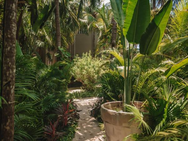 Casa Malca : photo 6 de la chambre suite junior - vue sur jardin