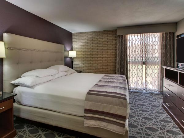 Drury Plaza Hotel San Antonio Airport : photo 5 de la chambre suite lit king-size avec kitchenette