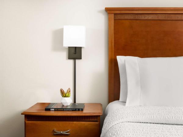Hampton Inn Memphis-Walnut Grove/Baptist East : photo 6 de la chambre chambre lit king-size deluxe - non-fumeurs 