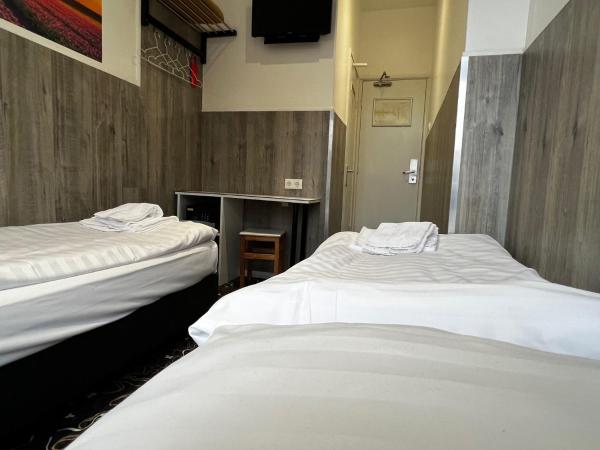 Budget Trianon Hotel : photo 1 de la chambre chambre lits jumeaux basique