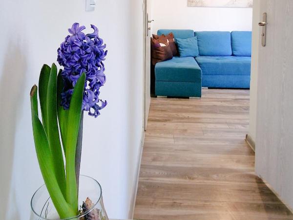 Pensjonat Alka : photo 3 de la chambre chambre quadruple avec balcon