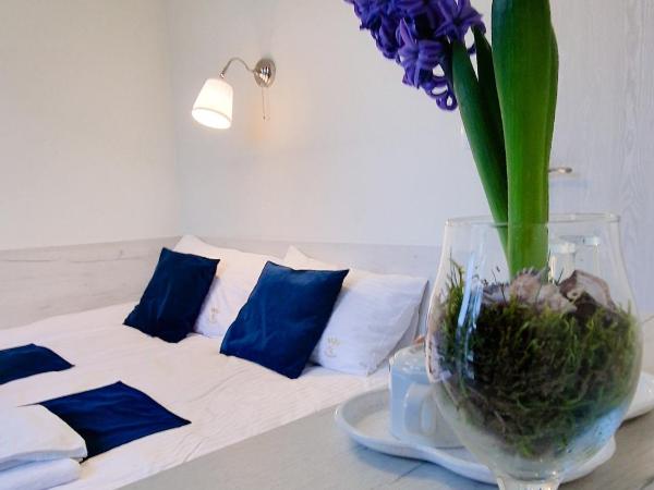 Pensjonat Alka : photo 4 de la chambre petite chambre simple