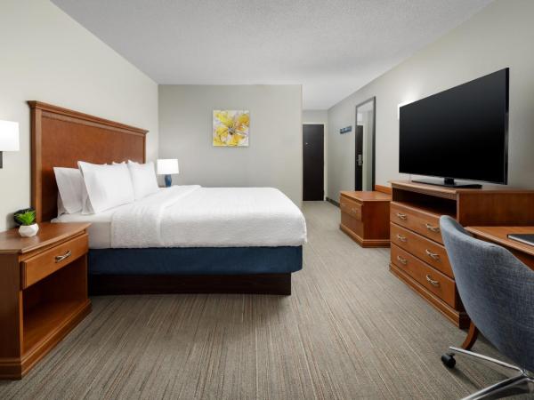 Hampton Inn Memphis-Walnut Grove/Baptist East : photo 3 de la chambre chambre lit king-size deluxe - non-fumeurs 