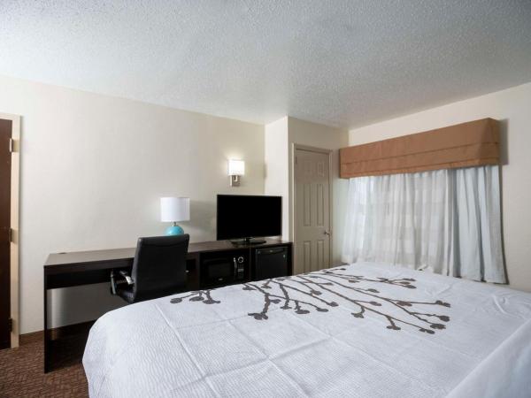 Sleep Inn near Outlets : photo 4 de la chambre chambre lit king-size - non-fumeurs