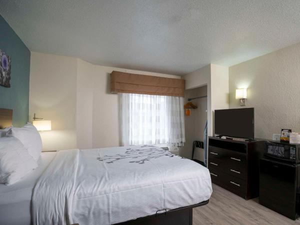 Sleep Inn near Outlets : photo 2 de la chambre chambre lit queen-size avec canapé-lit - non-fumeurs