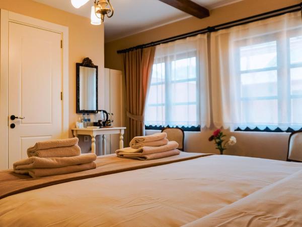 1870's Taş Konak Otel - Sanat Sokağı : photo 2 de la chambre chambre deluxe