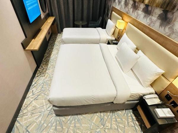 SKY PARK HOTEL : photo 1 de la chambre chambre familiale standard