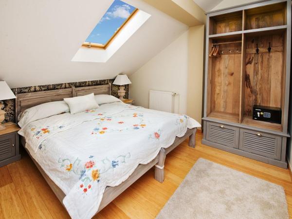 Hotel Mikołaj : photo 4 de la chambre appartement