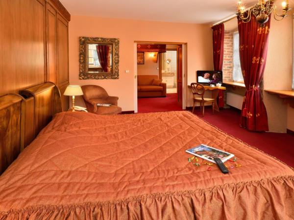 Hotel Saint-Martin : photo 6 de la chambre suite