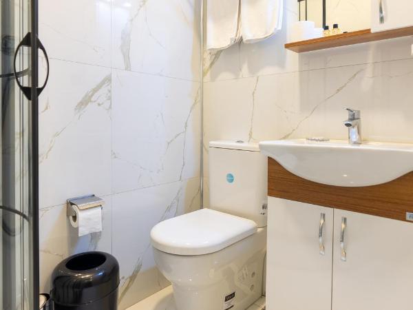 Valens Butik Hotel, Old City Mansion : photo 4 de la chambre chambre double Économique