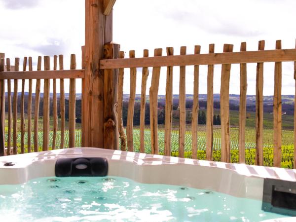 Le Domaine de La Tour des Vents : photo 5 de la chambre chambre double avec terrasse