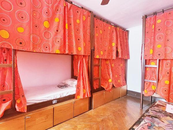 Red Monkey Hostel Barra Funda : photo 1 de la chambre lit dans dortoir mixte de 8 lits avec ventilateur