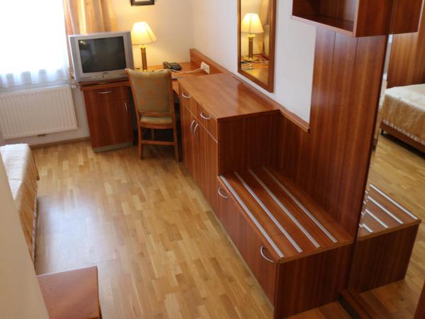 Hotel Wasserpalast : photo 7 de la chambre chambre simple - fumeurs