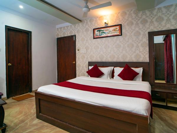 Florence Continental Udaipur : photo 2 de la chambre chambre deluxe