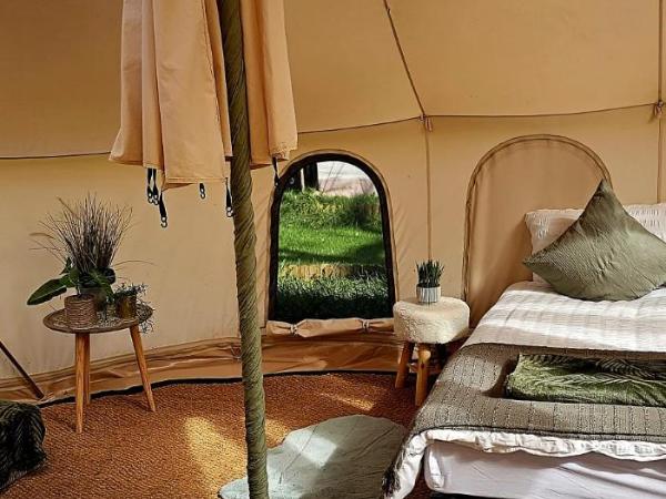 Bell Tent Village : photo 6 de la chambre tente emperor