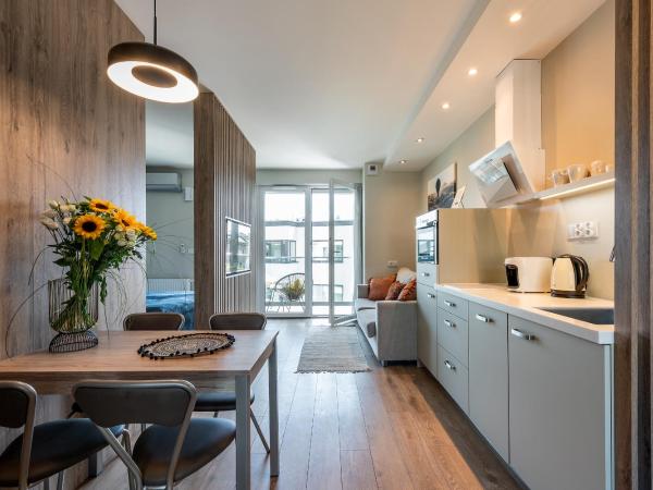 InPoint Aparthotel Grzegórzecka 11 : photo 7 de la chambre appartement avec terrasse