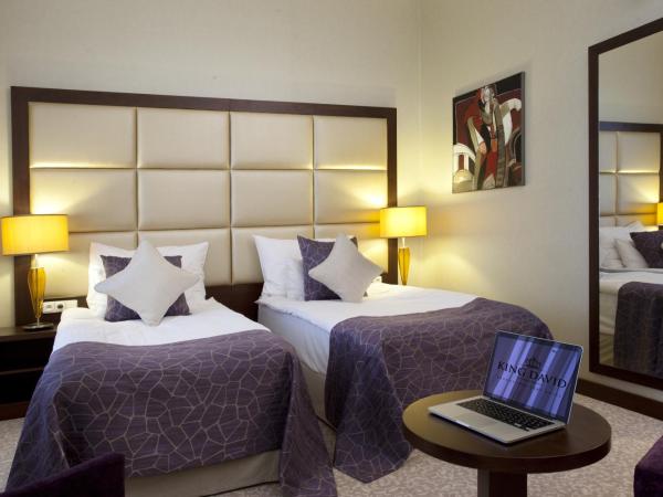 Kosher Hotel King David Prague : photo 8 de la chambre chambre de luxe avec forfait pessah