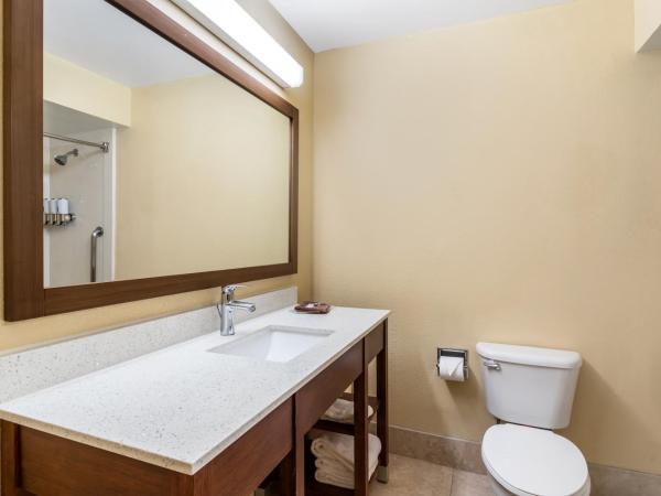 Comfort Suites Bush Intercontinental Airport : photo 7 de la chambre suite double