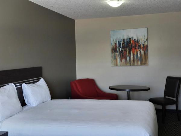 Royal Lodge : photo 3 de la chambre chambre simple