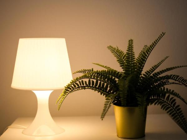 Whole Wide World Hostel : photo 3 de la chambre chambre double avec salle de bains commune