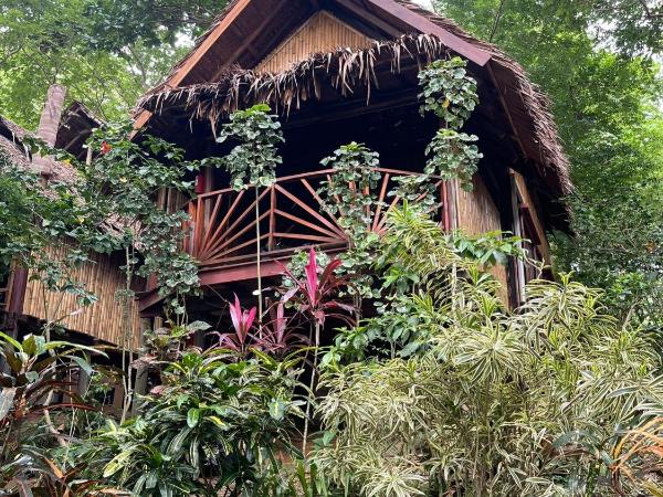 Viking Nature Resort : photo 7 de la chambre petite chambre double