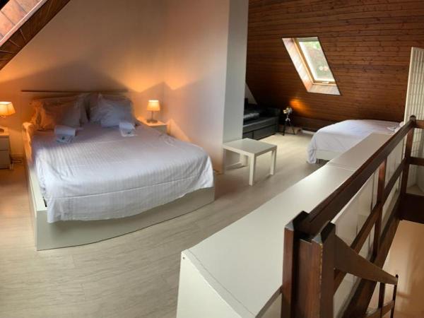 Superbe Duplex Vue Château et Lac : photo 1 de la chambre appartement en duplex